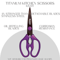 3M Scotch™ Premium/Titanium Detachable Kitchen Scissors