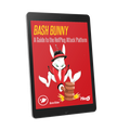 Bash Bunny E-Book