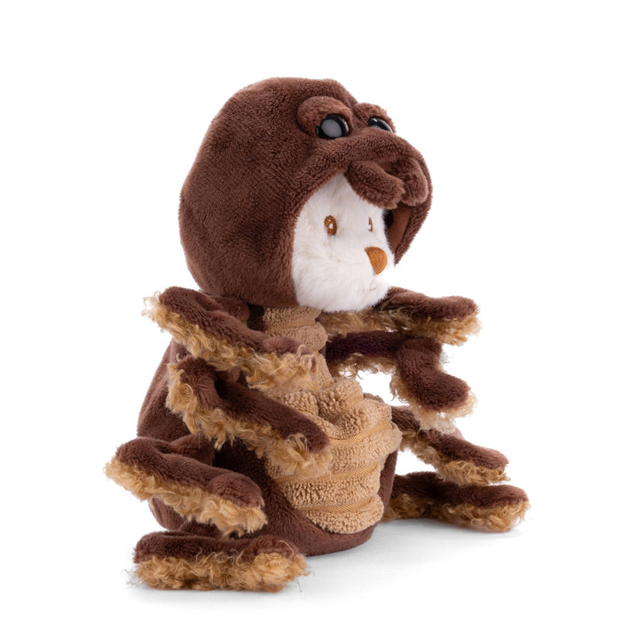 Bukowski Ziggy Spider-24128-Pumpkin Pie Kids Canada