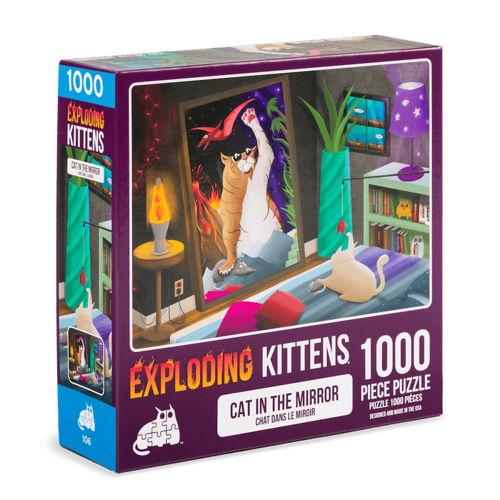 Cat in the Mirror 1000-piece puzzle box shown at an angle