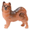 Chow (Shibu Ino)