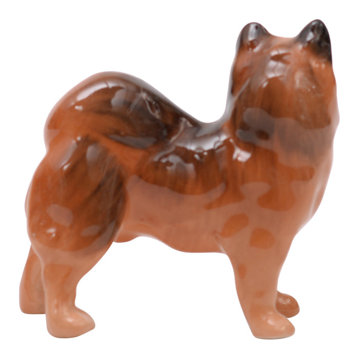 Chow (Shibu Ino)