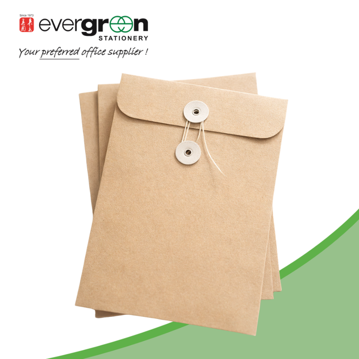 Expandable Kraft Envelope – 2" x 9" x 12"/13"