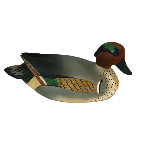 GREEN-WING-MALE