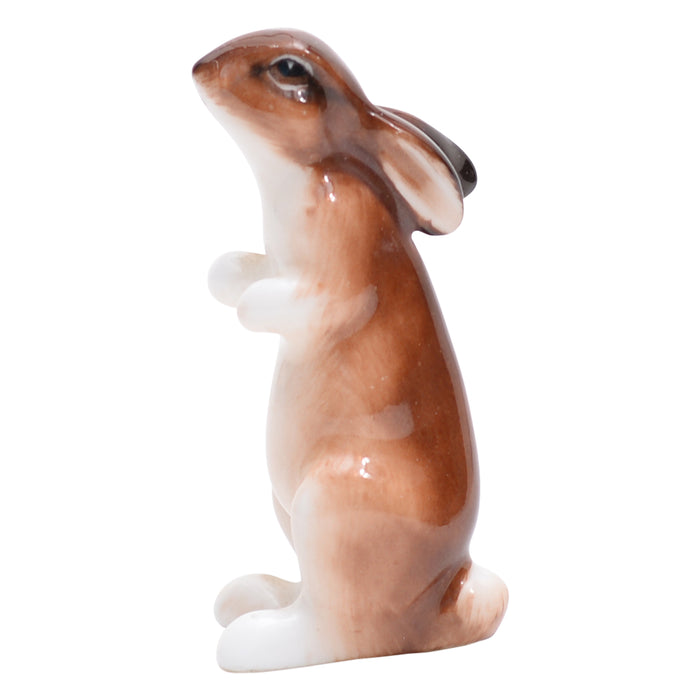 Hare seated, ears down