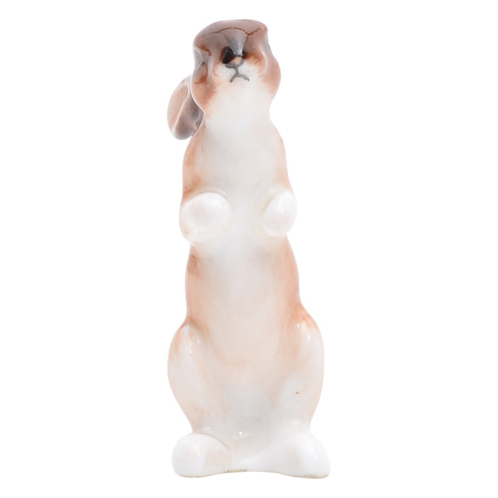 Hare seated, ears down