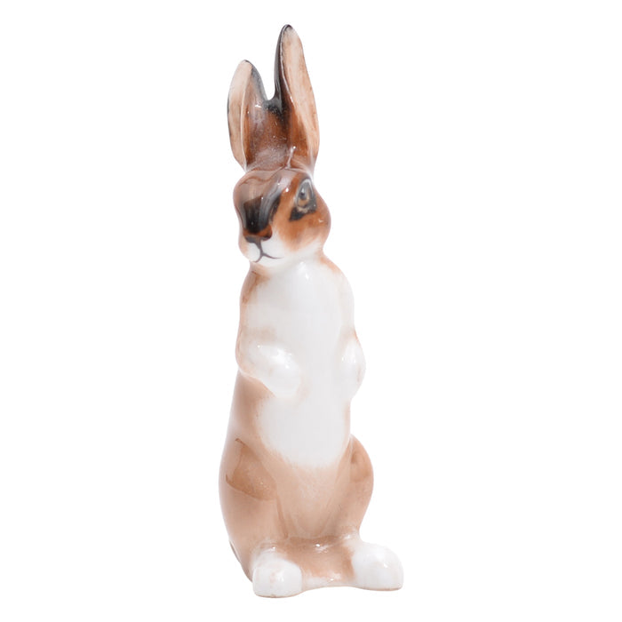 Hare seated