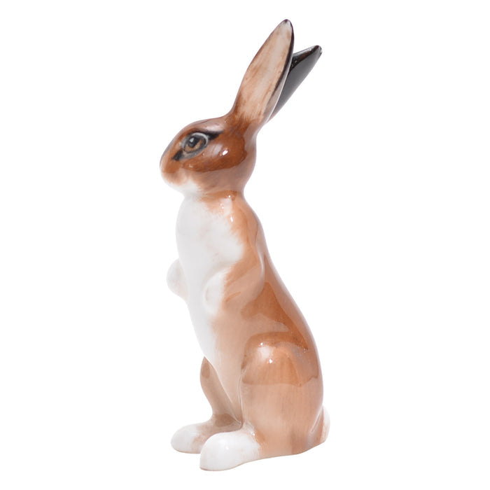 Hare seated