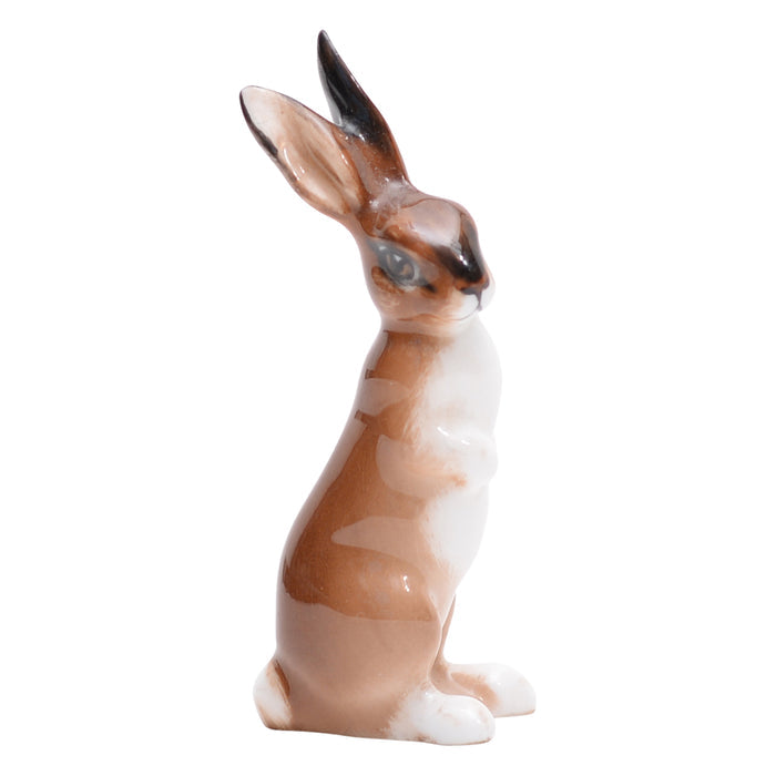 Hare seated