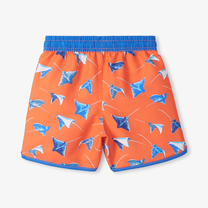 Hatley Swim Shorts - Sting Rays-S26SRK1383 4-Pumpkin Pie Kids Canada