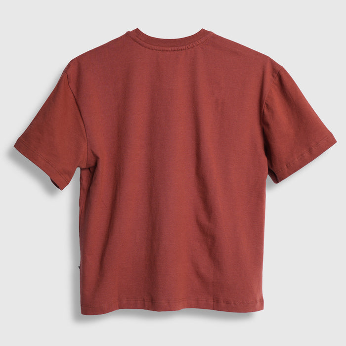 Kids Boys Tshirt in Brown with Crew Neck, Half Sleeves & Soft Fabric Comfort for Summers