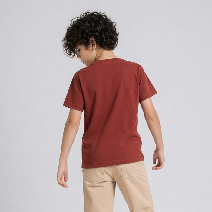 Kids Boys Tshirt in Brown with Soft Fabric & Round-Neck Comfort, Casual Fit for Summers