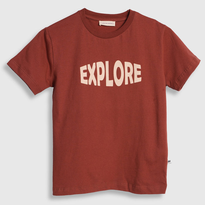 Kids Boys Tshirt in Brown with Soft Fabric & Round-Neck Comfort, Casual Fit for Summers