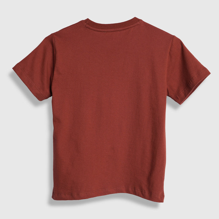 Kids Boys Tshirt in Brown with Soft Fabric & Round-Neck Comfort, Casual Fit for Summers