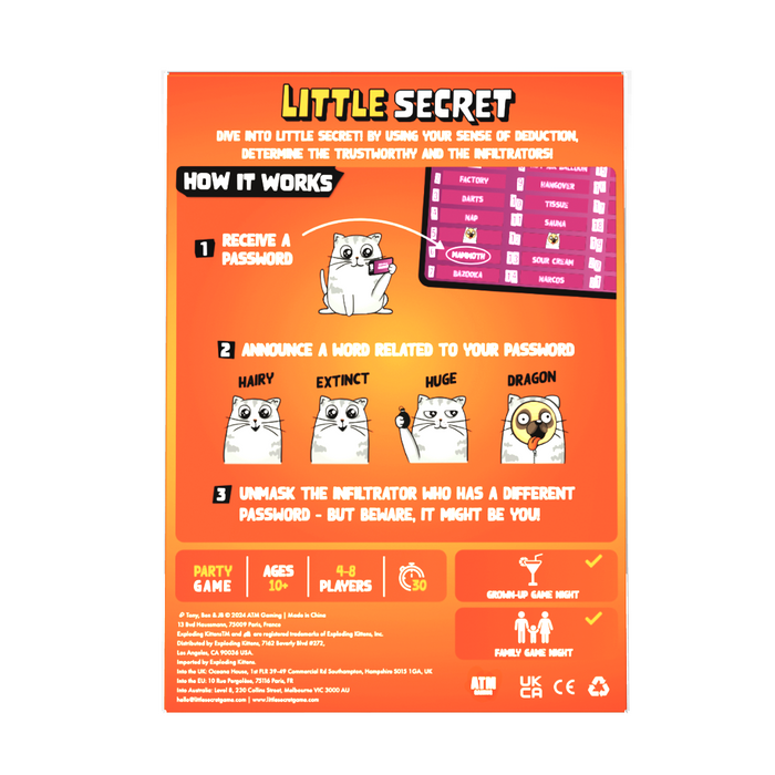 Little Secret box back with how-to-play instructions