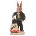 Magician Bunnykins