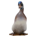 Mallard Drake  HN114