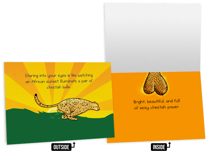 Adult-humor friendship card with a cartoon cheetah and a complimentary message