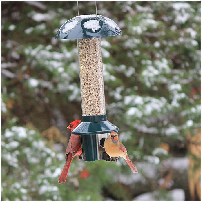 PestOff Birdfeeder by Roamwild-Bird Feeder-Roamwild-Top Notch Gift Shop
