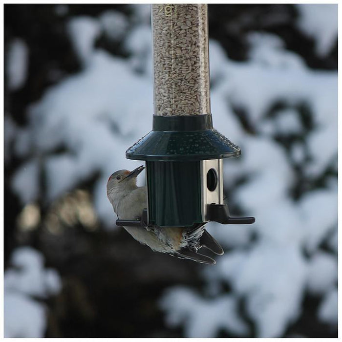 PestOff Birdfeeder by Roamwild-Bird Feeder-Roamwild-Top Notch Gift Shop