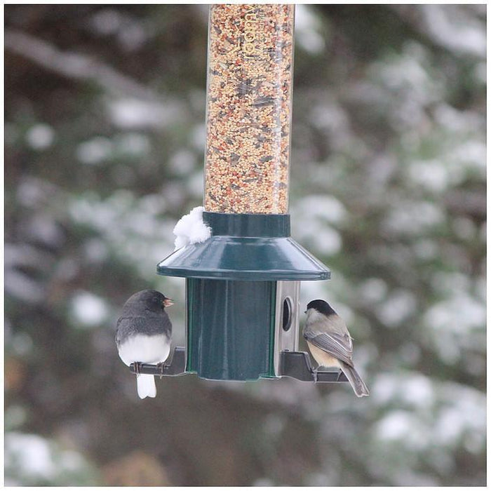 PestOff Birdfeeder by Roamwild-Bird Feeder-Roamwild-Top Notch Gift Shop