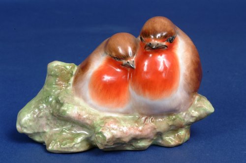 Robin Chicks