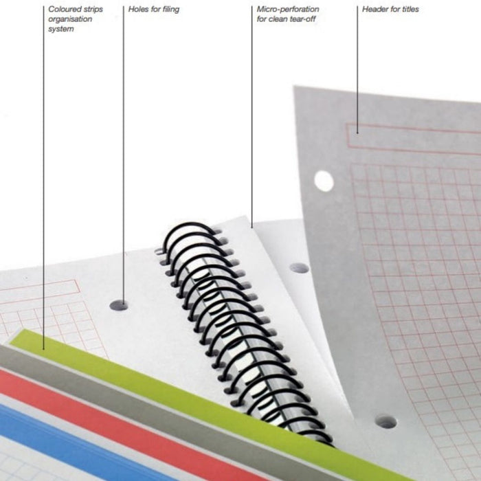 [SG] ECO MIQUELRIUS 2471 Notebook A4 (SQUARED, 80 sheets) [Evergreen Stationery]