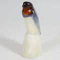Swallow on Rock HN149