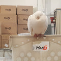 test-test