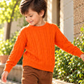 Toddler Boys Sweater in Orange with Knit Texture, Warm Fabric, Crew Neck & Ribbed Finish