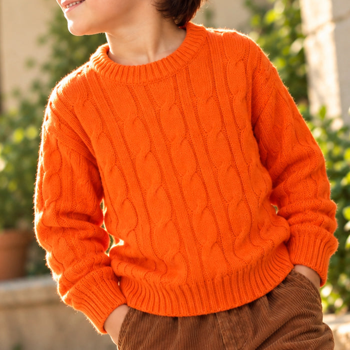 Toddler Boys Sweater in Orange with Knit Texture, Warm Fabric, Crew Neck & Ribbed Finish