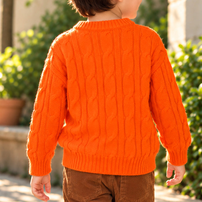 Toddler Boys Sweater in Orange with Knit Texture, Warm Fabric, Crew Neck & Ribbed Finish