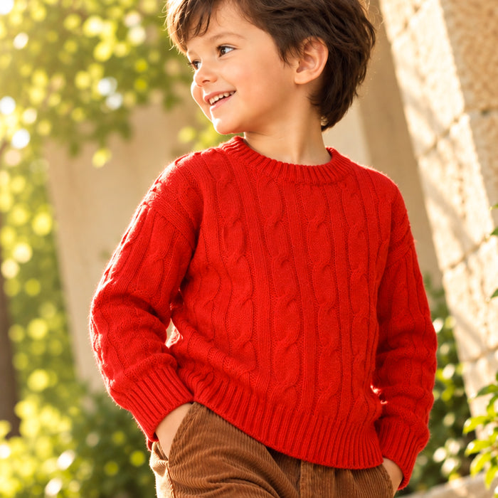 Toddler Boys Sweater in Red with Knit Texture, Warm Fabric, Crew Neck & Ribbed Finish