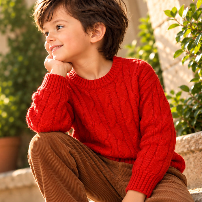 Toddler Boys Sweater in Red with Knit Texture, Warm Fabric, Crew Neck & Ribbed Finish
