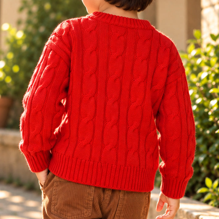 Toddler Boys Sweater in Red with Knit Texture, Warm Fabric, Crew Neck & Ribbed Finish