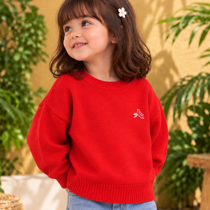 Toddler Girls Sweater in Red with Soft Knit Texture, Crew Neck & Ribbed Details